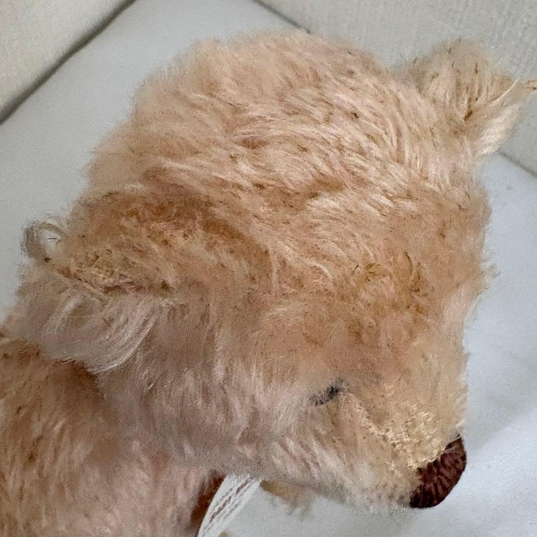 シュタイフ テディベア BABY MASAKO ROSE 23 no.24