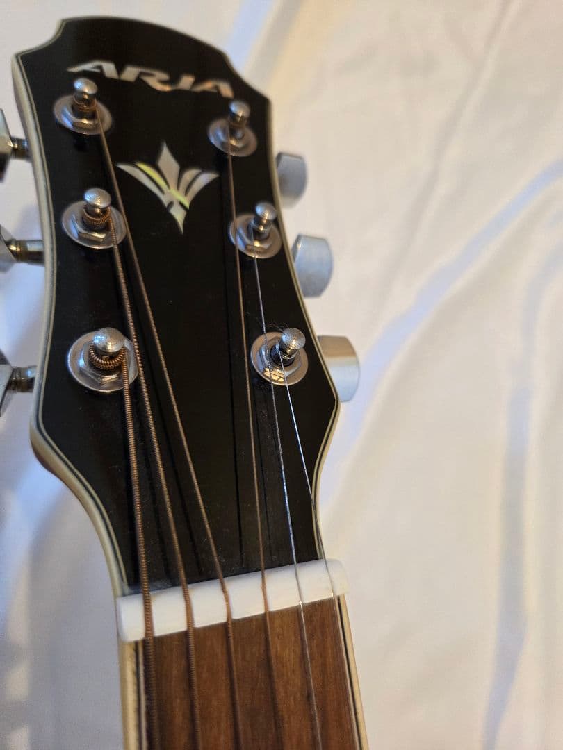 ARIA エレアコ　Elecord FET-STDRS