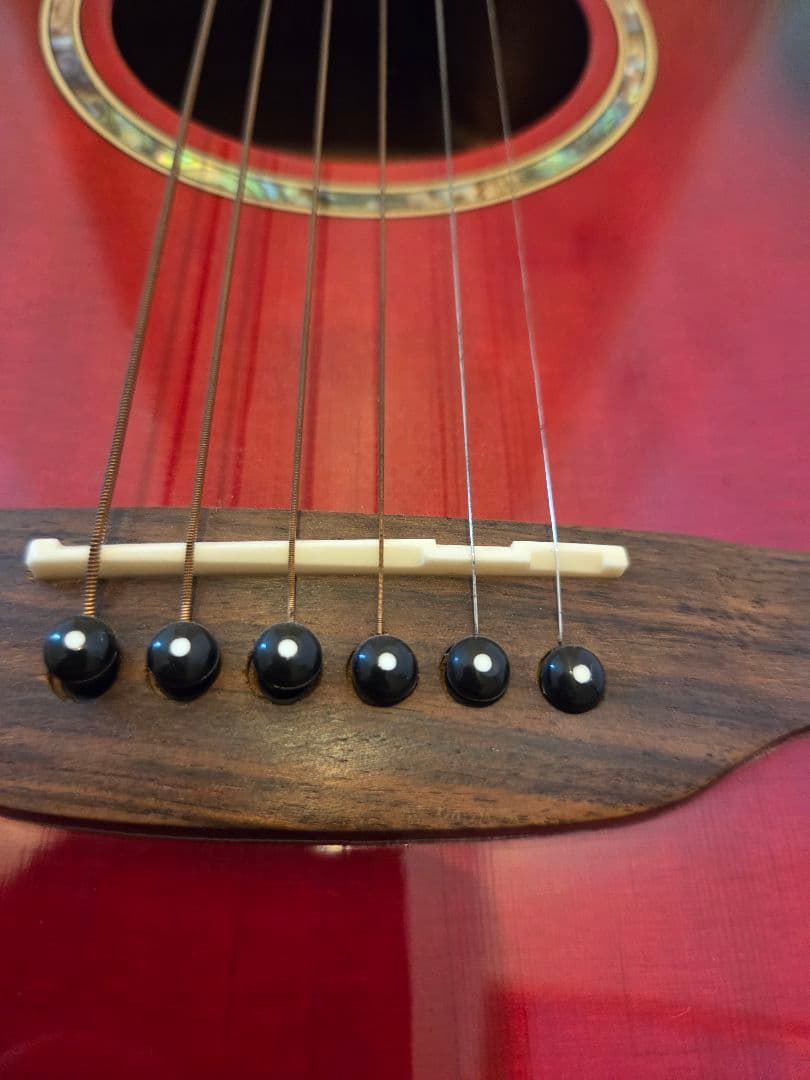 ARIA エレアコ　Elecord FET-STDRS