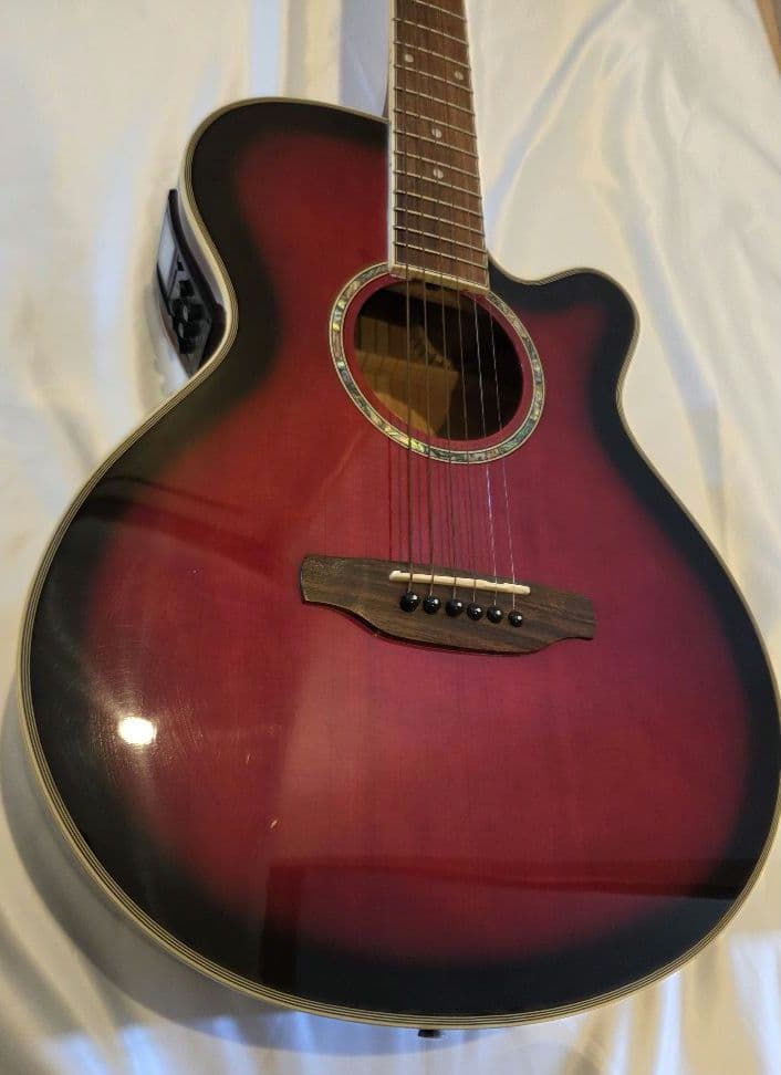 ARIA エレアコ　Elecord FET-STDRS