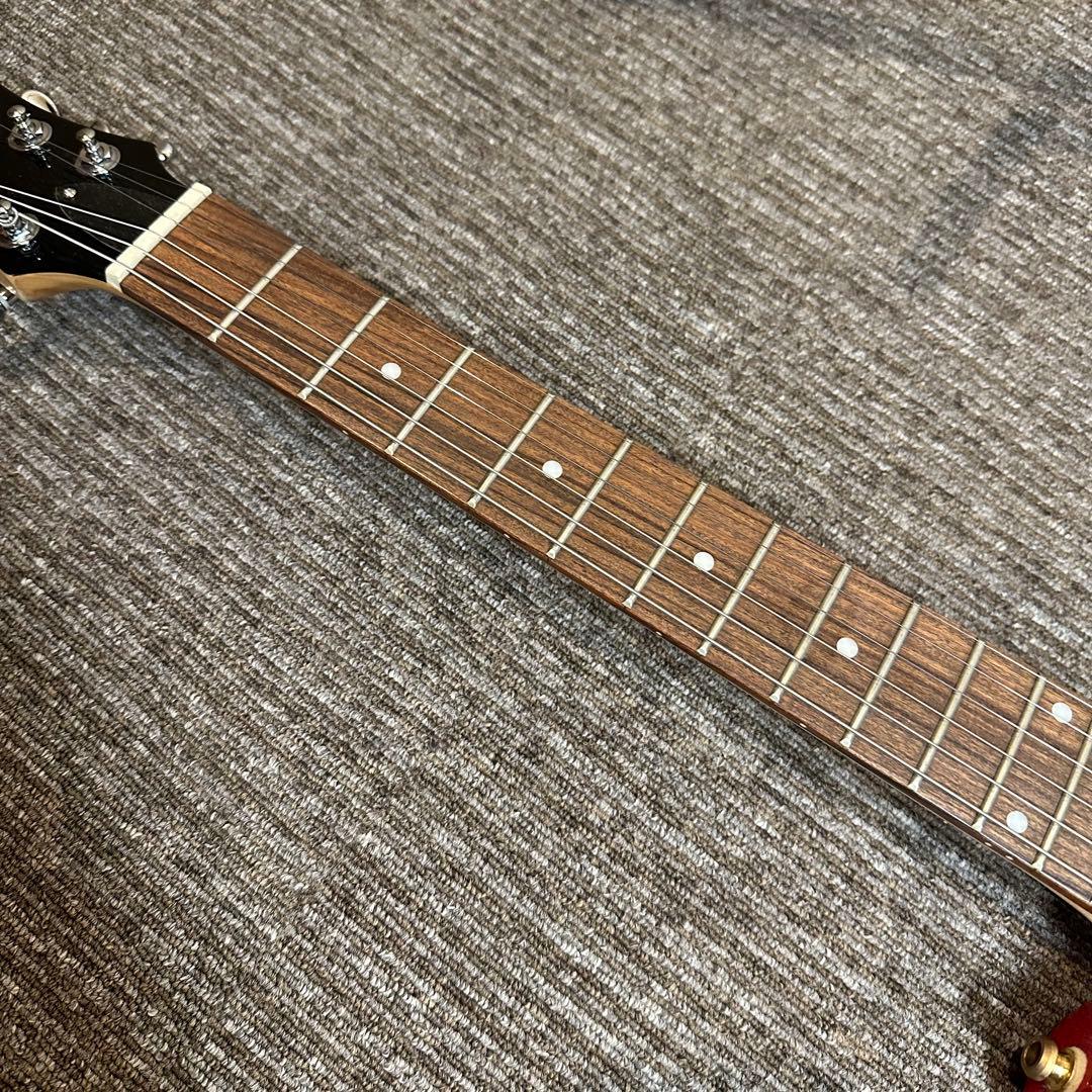 Pignose ピグノーズ PGG-200アンプ内蔵ミニギター 美品