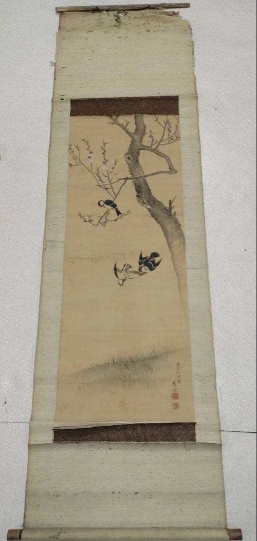 3-2866 掛軸　『庚子初秋写 應舉』　丸山応挙