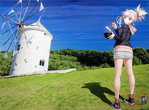 香川県　セイバー/宮本武蔵 B2タペストリー 中国・四国ver.