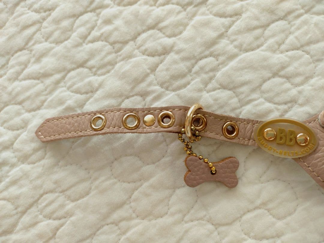 バディベルト2号＆リードセット 人気色ラテ