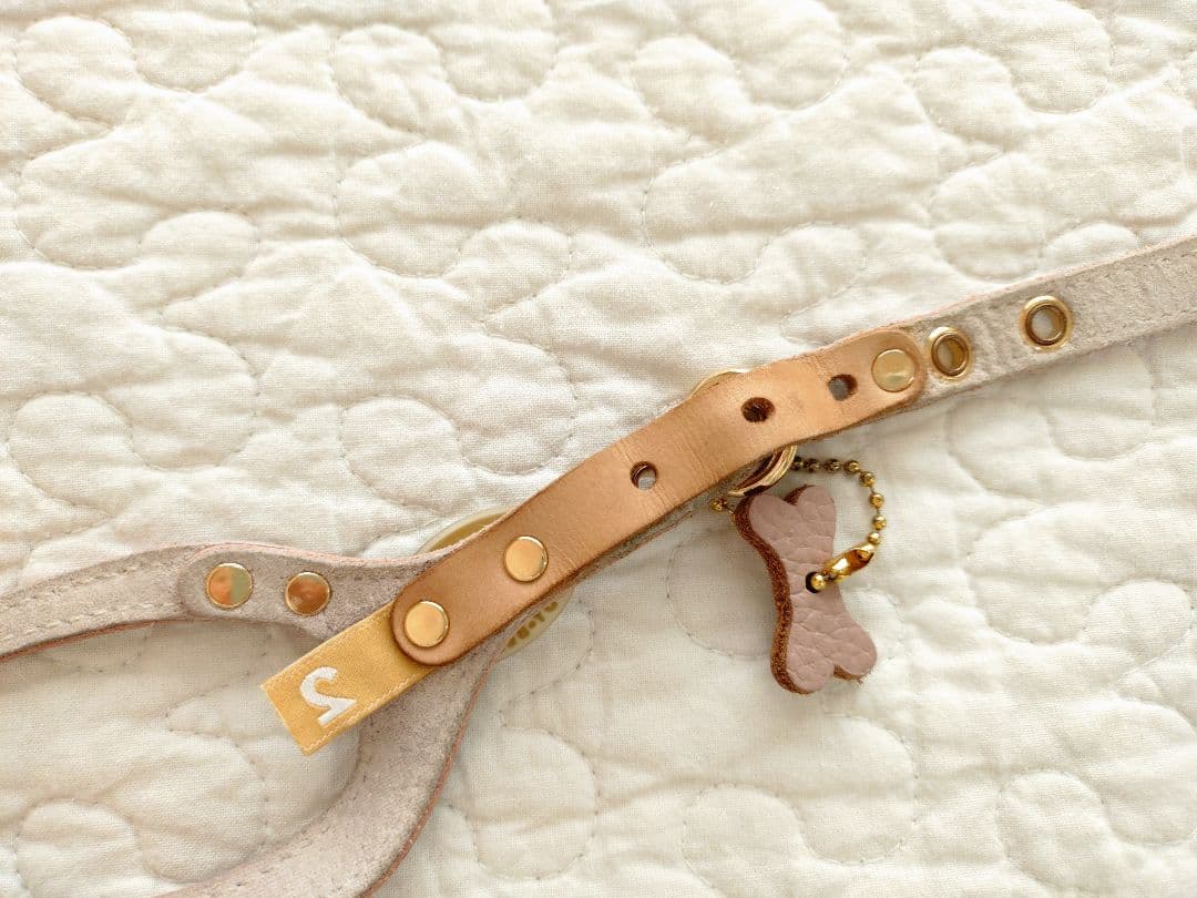 バディベルト2号＆リードセット 人気色ラテ