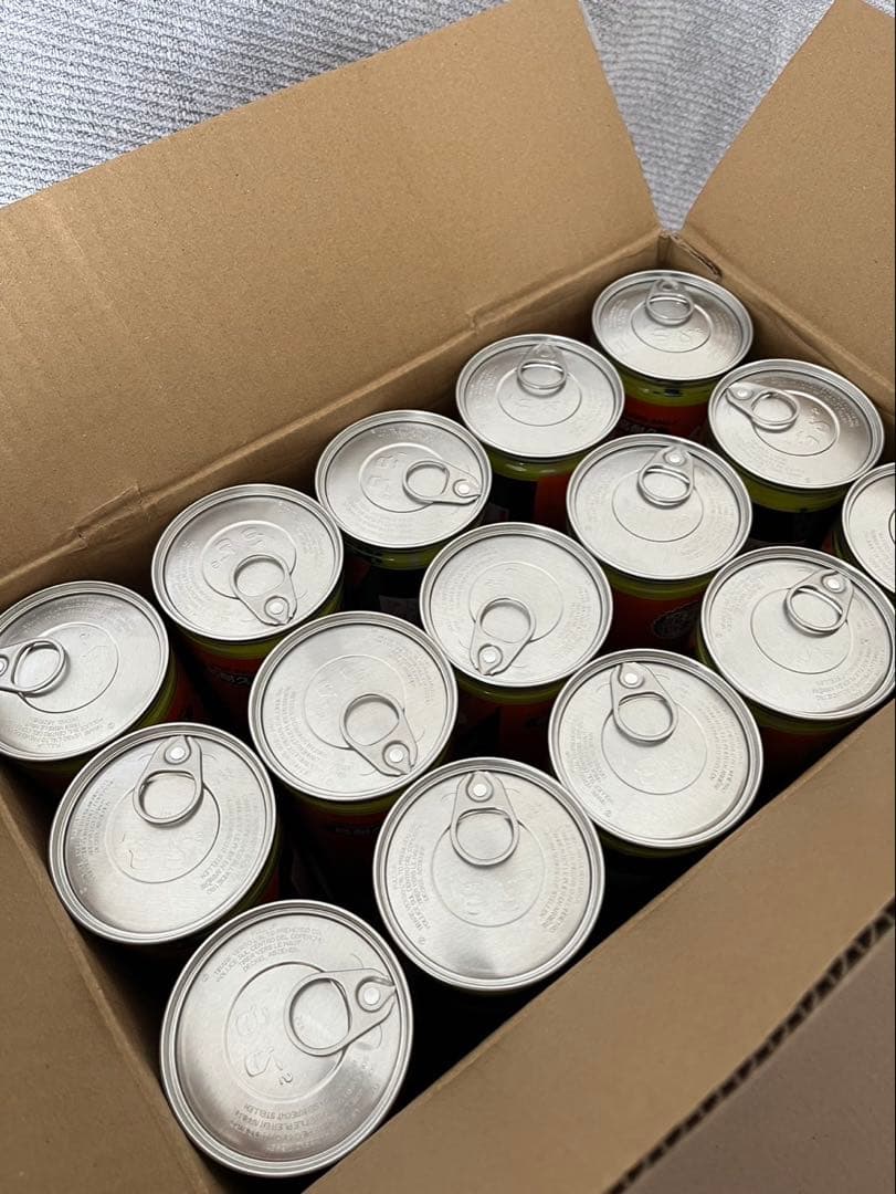 ダンロップ　セントジェームステニスボール60球