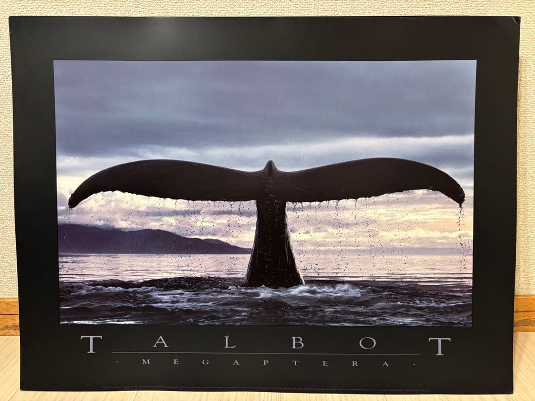 Bob Talbot 80s vintage poster 10種セット