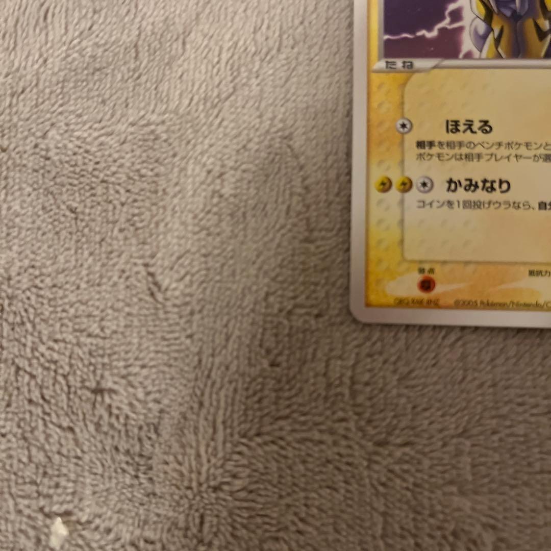 ライコウ ポケパークプレミアムファイル 005/009