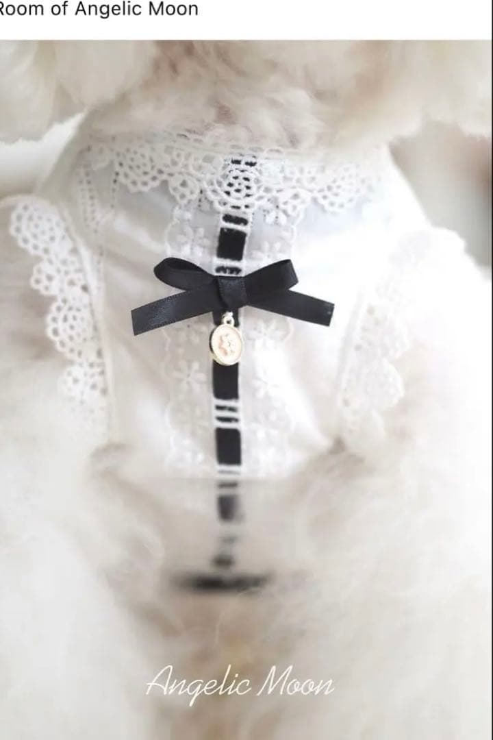 アンジェリックムーン　上品なコットンレースワンピース