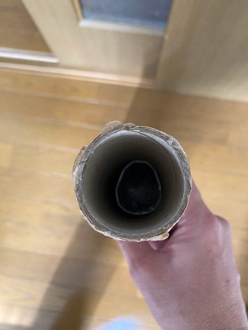 【新品・未使用】椎名林檎と宮本浩次 特典タワレコポスター