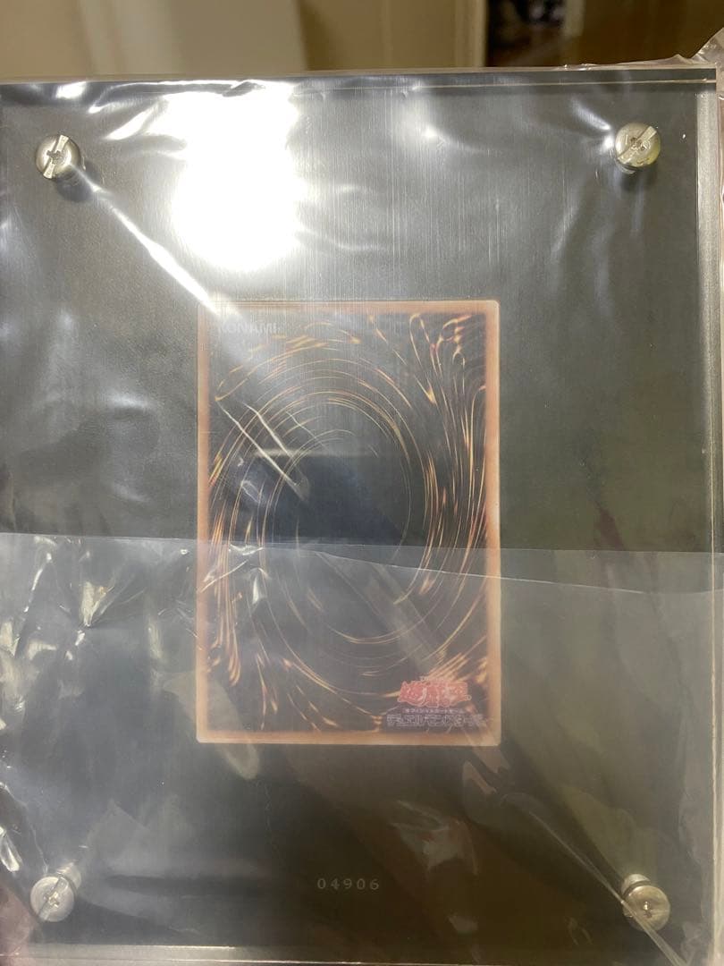 遊戯王 ステンレス ブラックマジシャン ブラックマジシャンガールセット