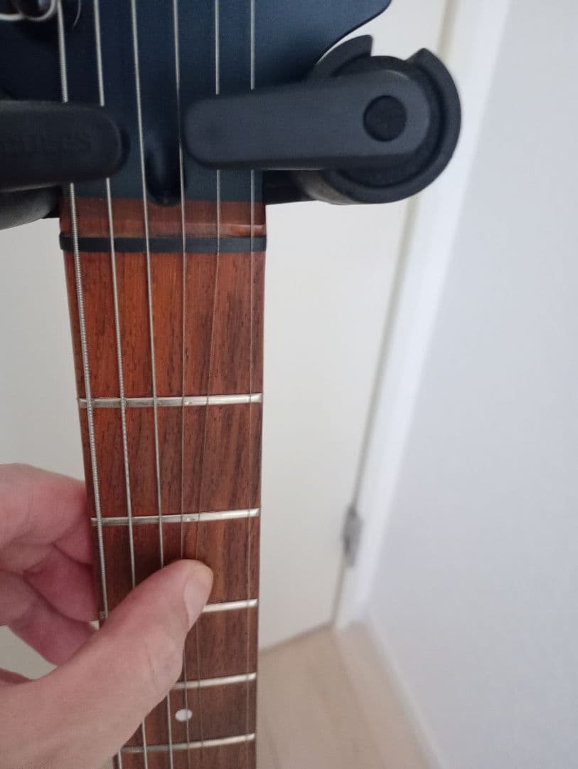 フェルナンデス　サスティナー搭載モデル　マットカラー　中古美品