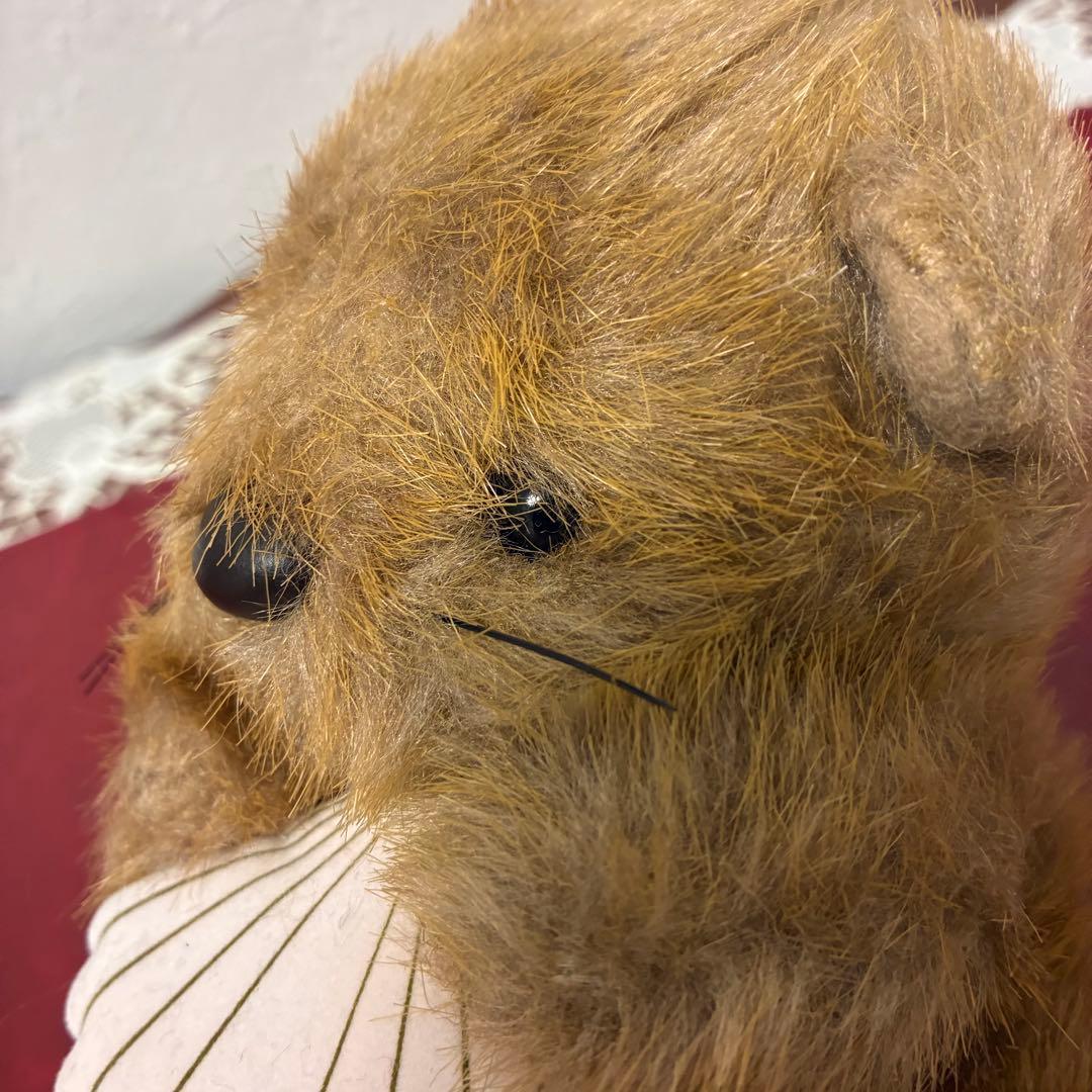 ファースト　らっこ　ラッコ　ぬいぐるみ　貝　FIRST