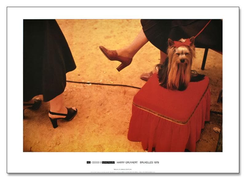 額装済/Bruxelles 1979/ハリー グリエール