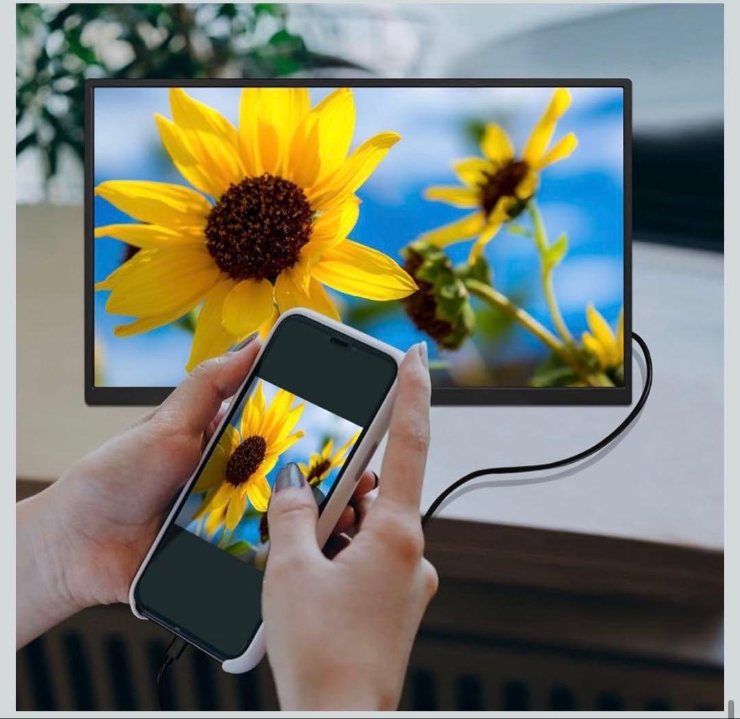 Acouto Zen18 モバイルモニター 18.5インチ 120Hz