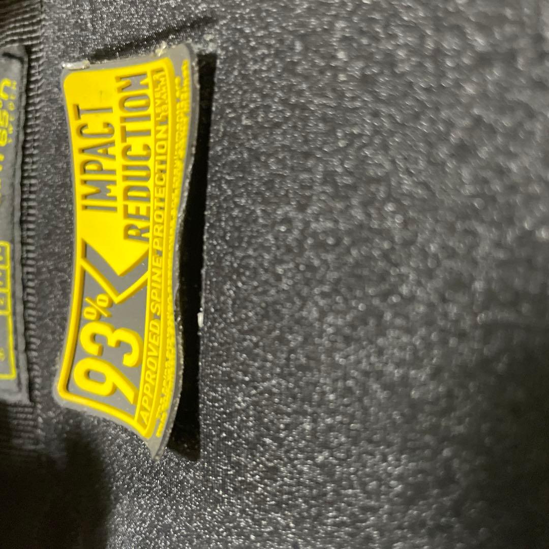 【数回使用　美品】Point 65 BOBLBEE 25L GTX (IGLO)