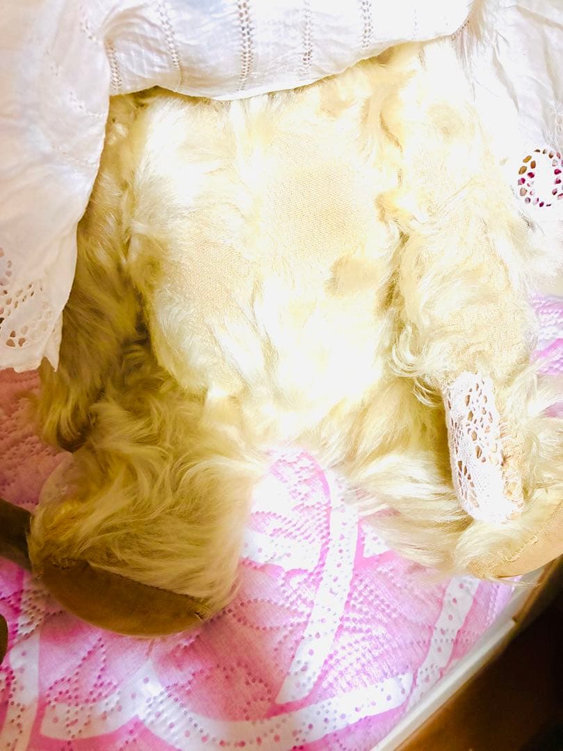 ニッカーボッカー アンティークベア エクリュ