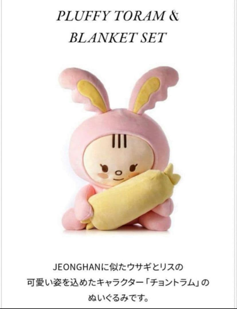 SEVENTEEN JEONGHAN トラム ぬいぐるみ アーティストメイド