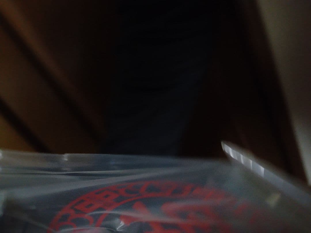 らんま1/2 おかもちスペシャル 猫 飯店 メニュー ソング 特典おかもち