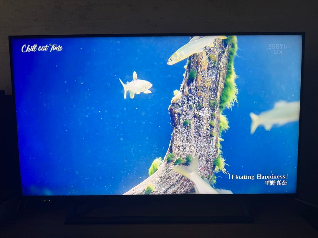 Hisense 43型4K液晶テレビ