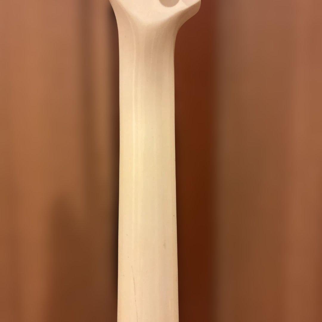 Aria Pro II HELLION Series アーム付 新品弦張替済