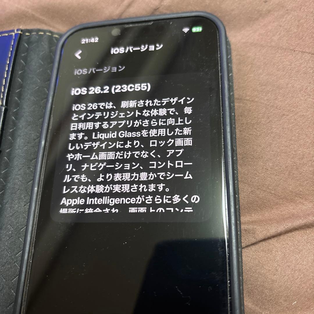 丸一さん専用Apple iPhone 13 Pro グレー ケース付き