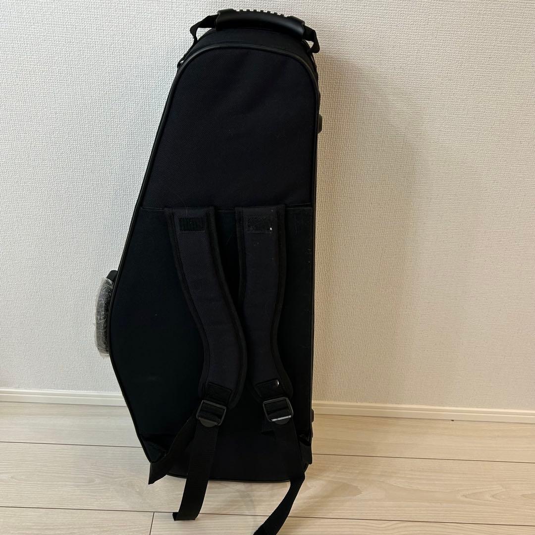 新古品【オーストリア】Schagerl Amadeusサテンテナーサックス