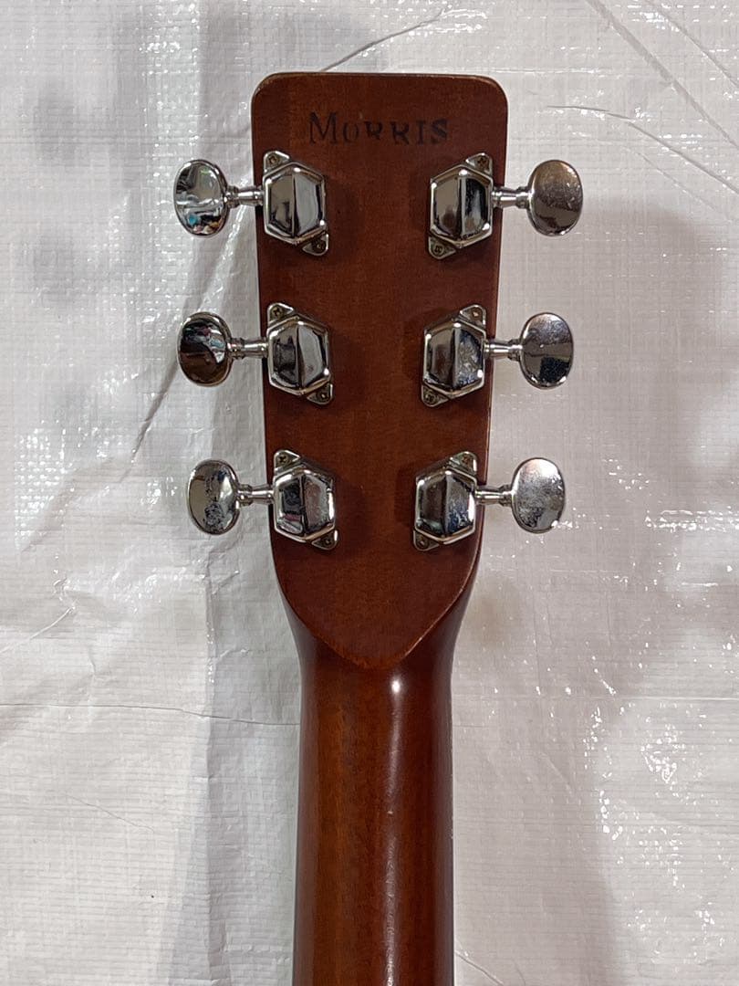 ジャパビンMorris モーリスF-15 1975年 寺田楽器