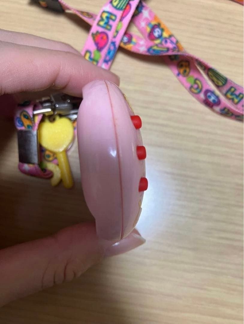 いぇー!ふぁみりーイロイロ!たまごっちプラス ふぁみたまおやつ