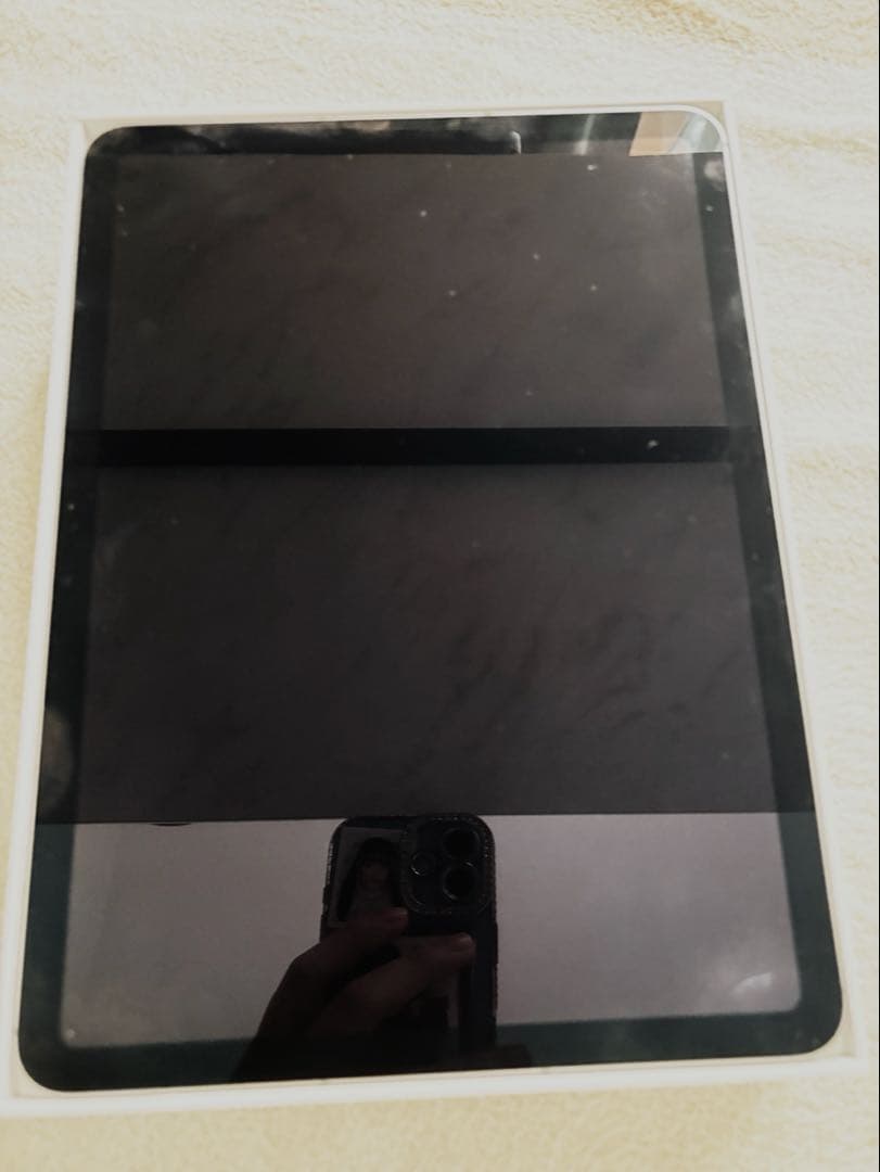 Apple iPad air M2 本体 11インチ