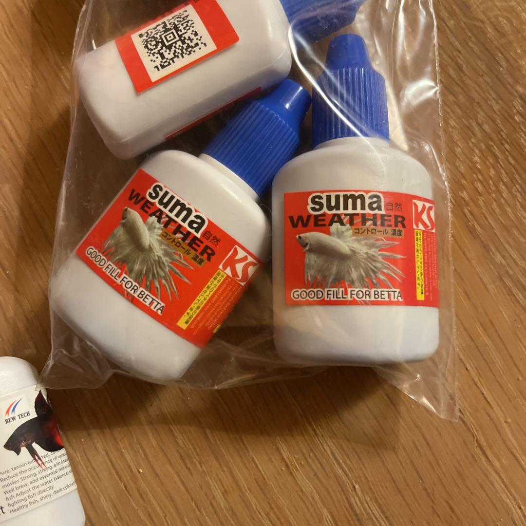 suma 9個セット　ベタ飼育