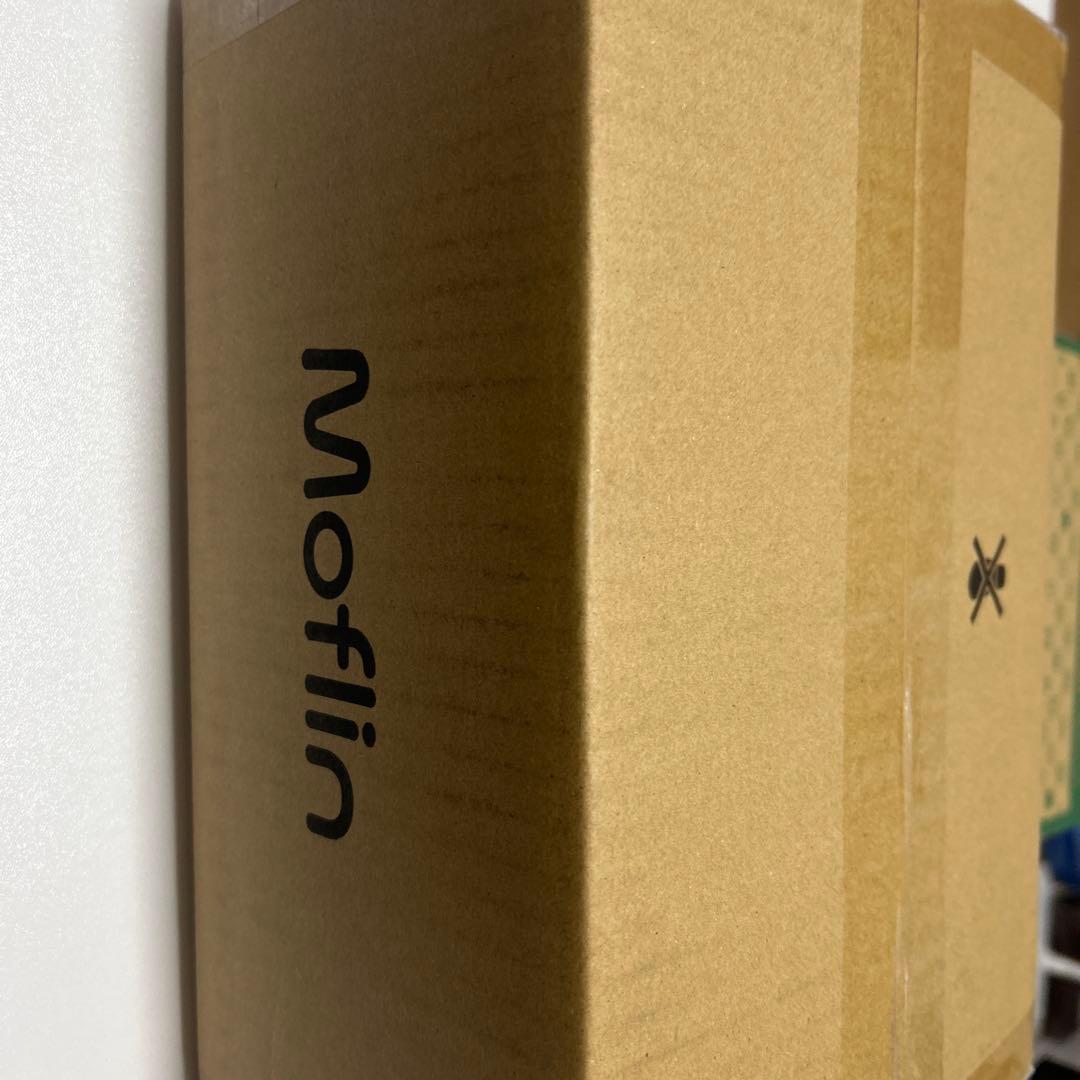 【新品未開封】CASIO モフリン PE-M10SR シルバー