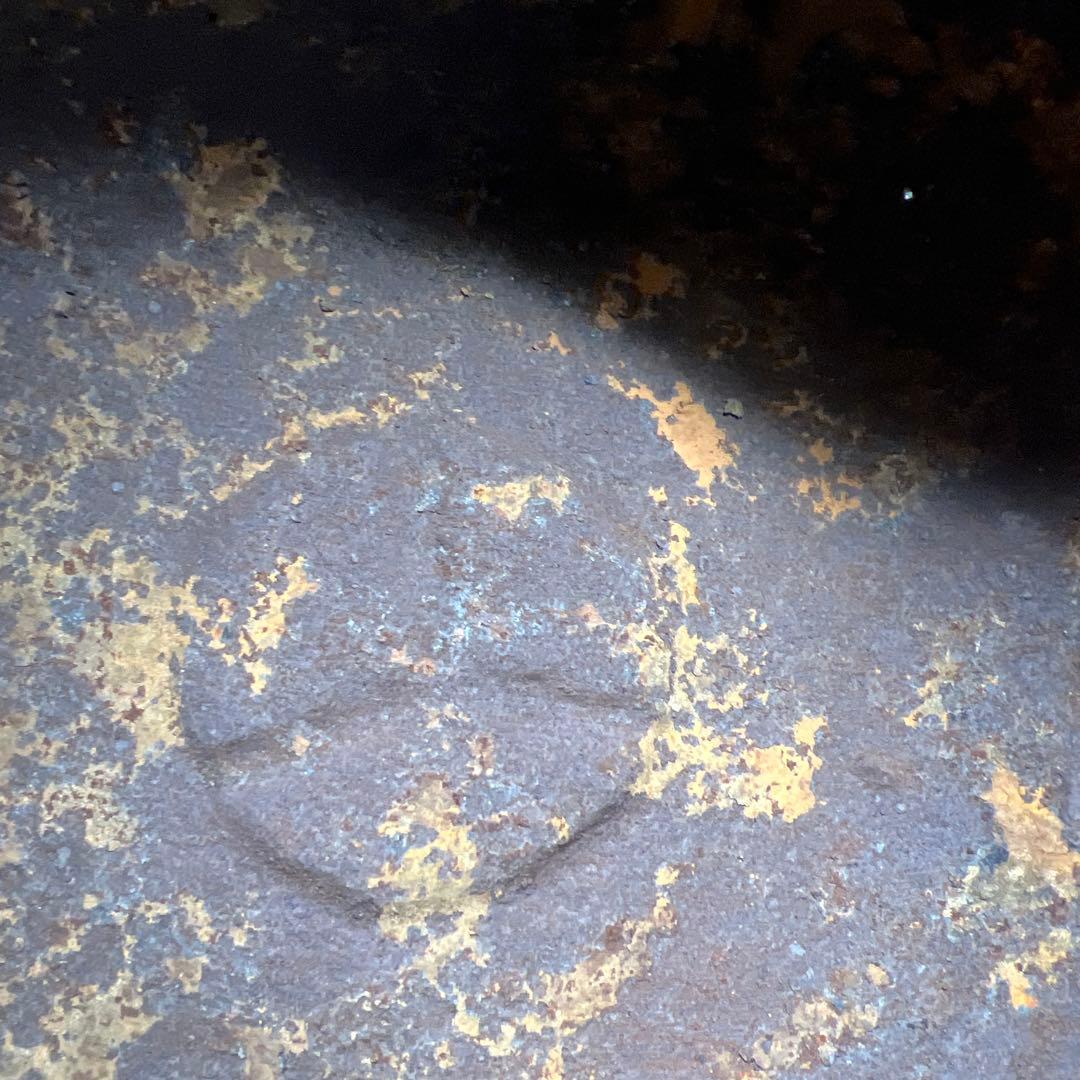 龍文堂　紅葉陽刻鉄瓶　高さ約21㎝/1621g 東Y7-1209☆2Fトヒチサ