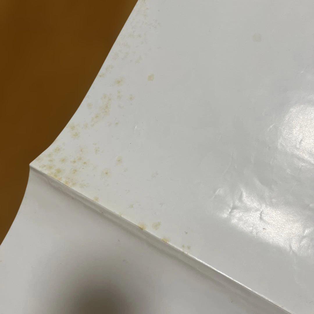 ポケットモンスター 1999 カレンダー