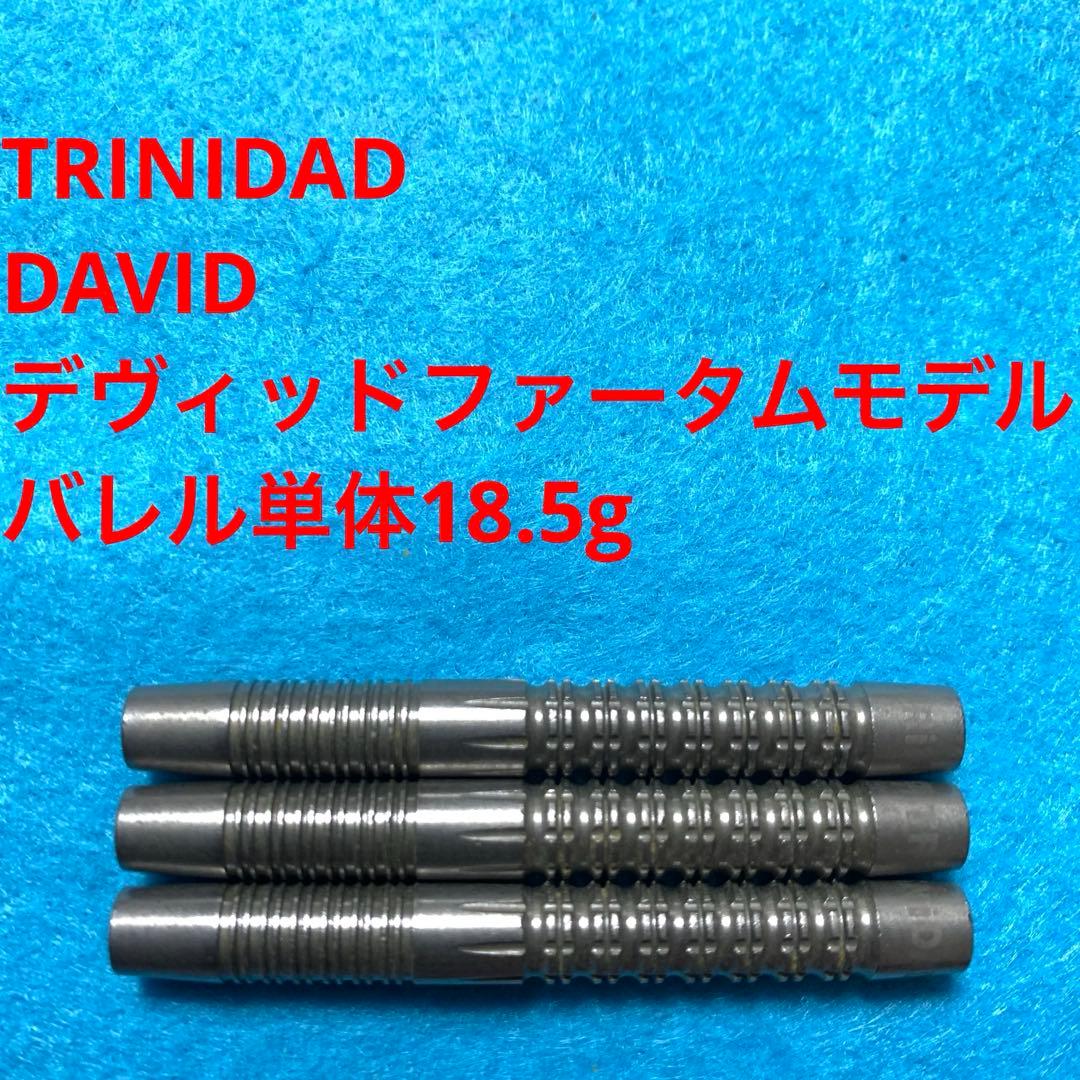デヴィッド・ファータム TRINIDADトリニダード DAVID定価11000円