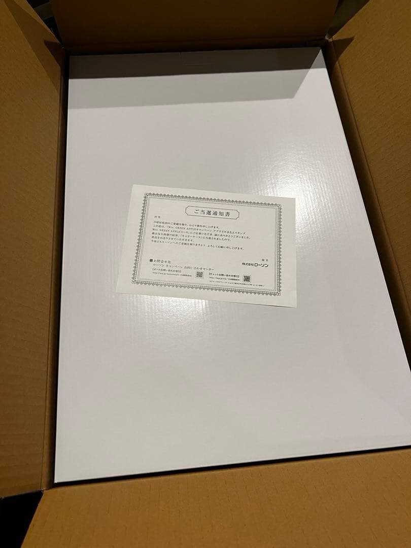 Mrs.GREEN APPLEキャリーケース　ローソンキャンペーン当選品