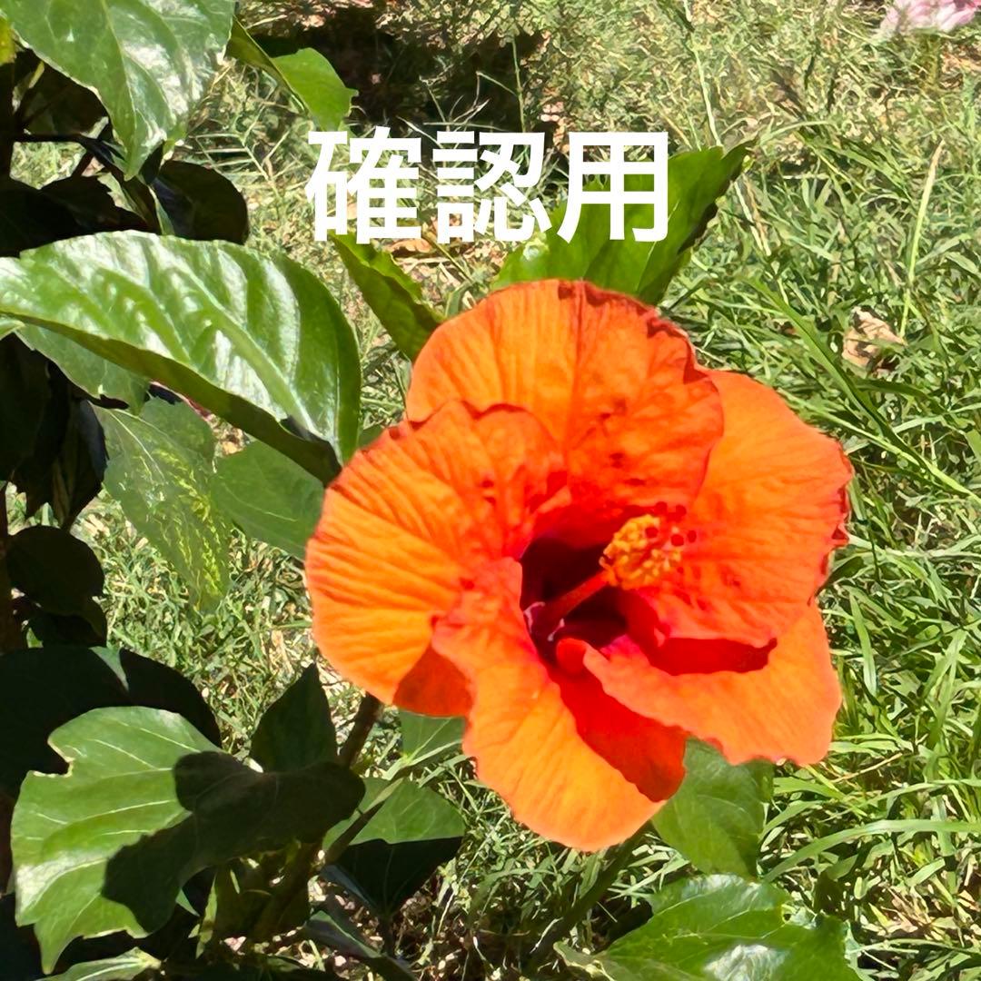 レイラのママ★ハンドメイドパーツ★かぎ針編み♪ミニ麦わら帽子