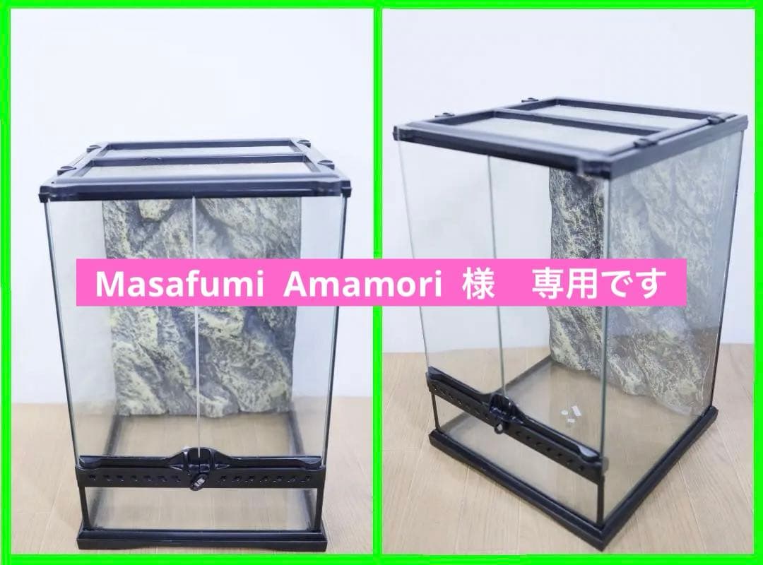 ◆ＧＥＸ　エキゾテラ　グラステラリウム3045◆爬虫類　飼育ガラスケージ　①