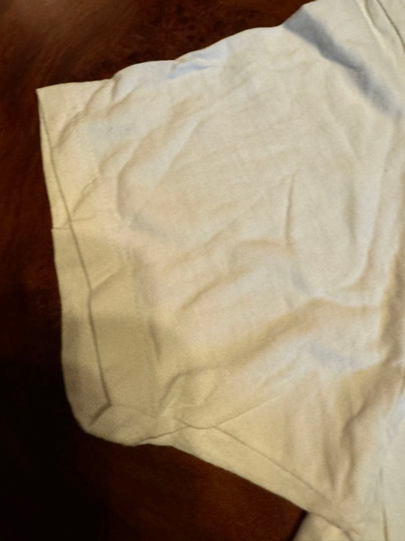 レディガガ白グラフィックTシャツサイズ表記L2010年コピーライト入り