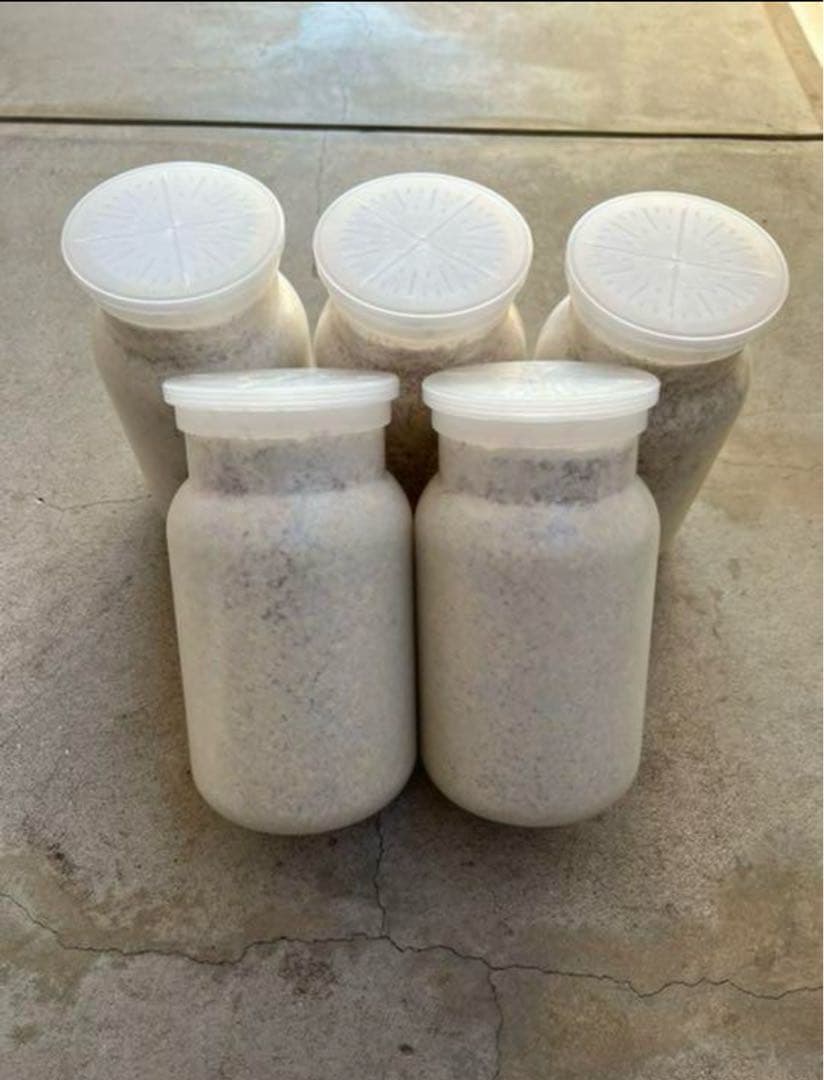 カワラ菌糸瓶1100 １０本