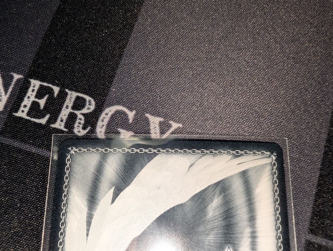 ヴァイスシュヴァルツ 対策委員会 ホシノ SP WS ブルーアーカイブ