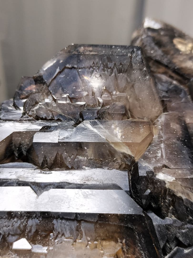 【超特価】スモーキーエレスチャル　金色のきらめき