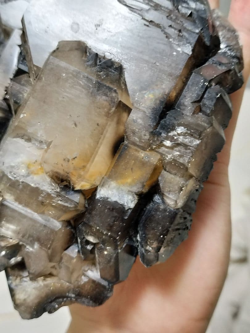 【超特価】スモーキーエレスチャル　金色のきらめき