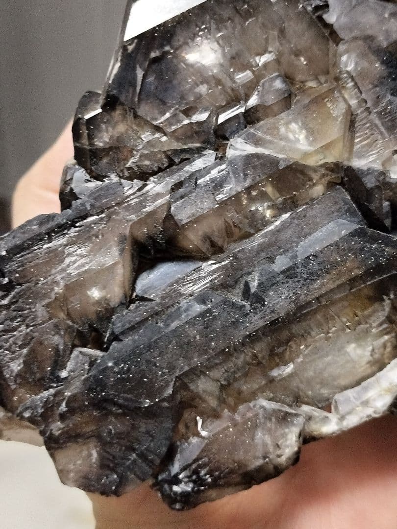 【超特価】スモーキーエレスチャル　金色のきらめき