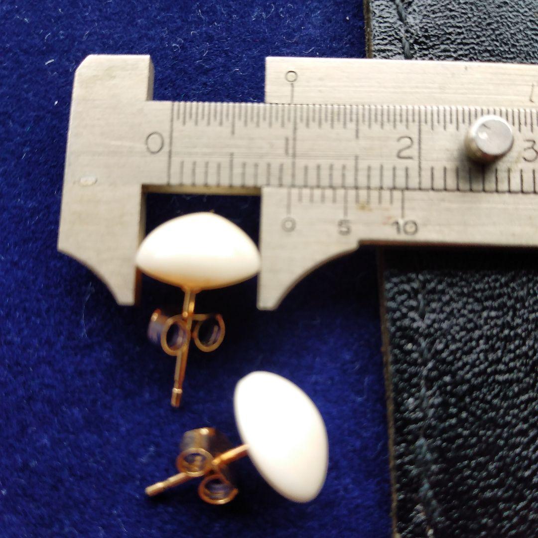鯨歯　マッコウクジラ　イヤリング＆ピアス