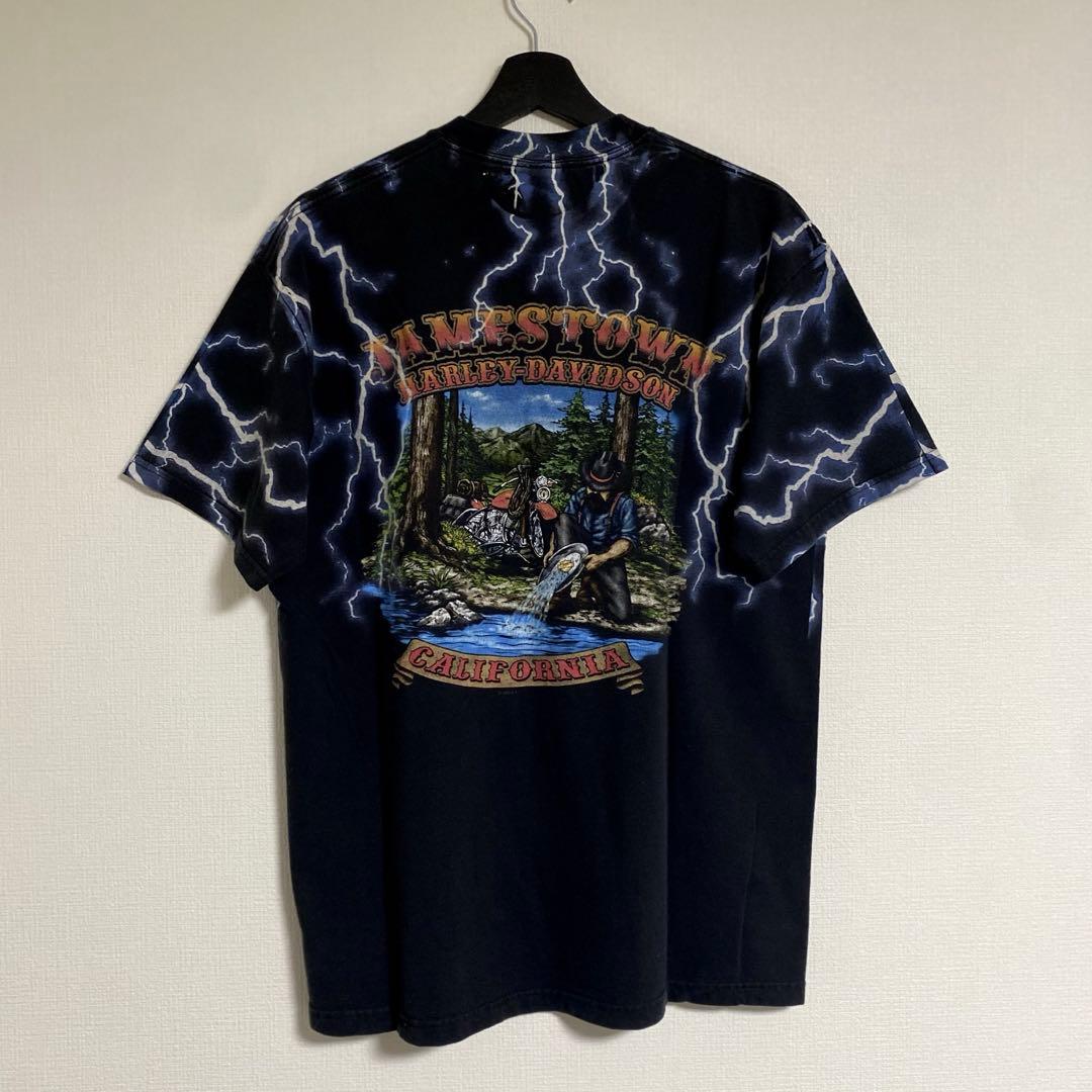 HARLEY DAVIDSON BLUE FLAME Tシャツ ロンT
