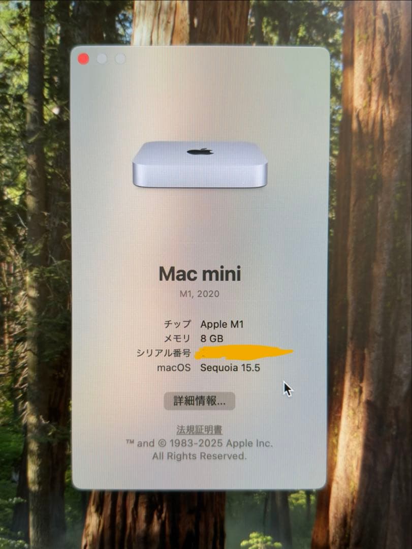 Macデスクトップ Apple Mac mini 2020 M1 8GB 256GB