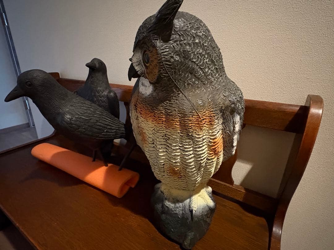フクロウ・カラス(3)デコイセット