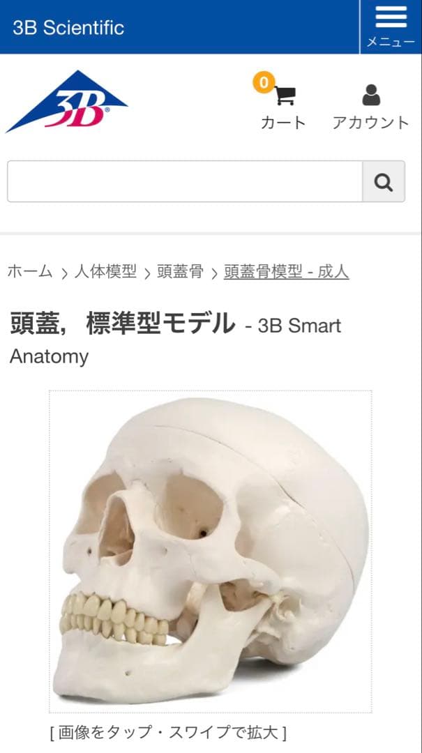 脳模型 5分解モデル 3B Smart Anatomy 実物大　新品未使用