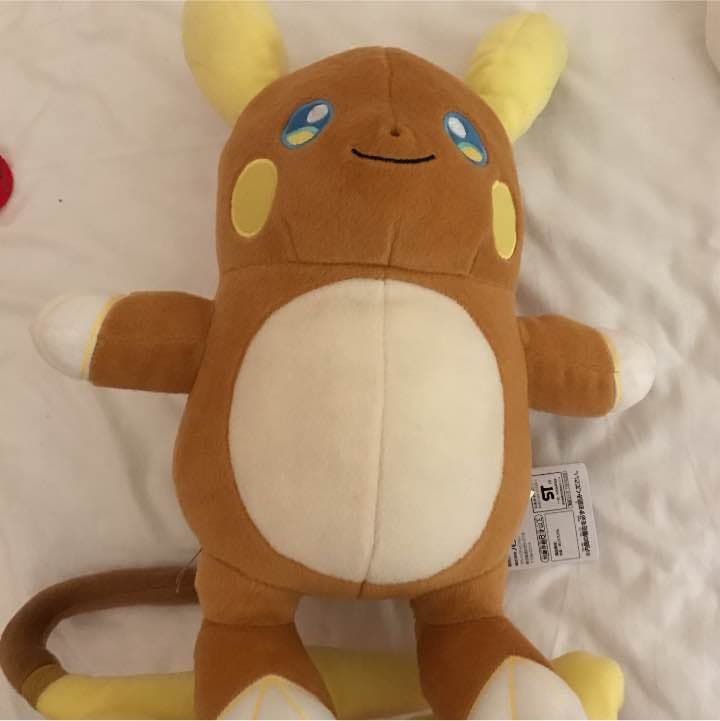 ぬいぐるみとAKBグッズ